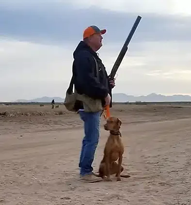 A man hunting with his two Vizslas Dogs